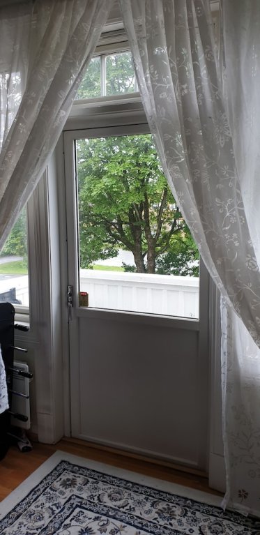 Фото Willa Holst