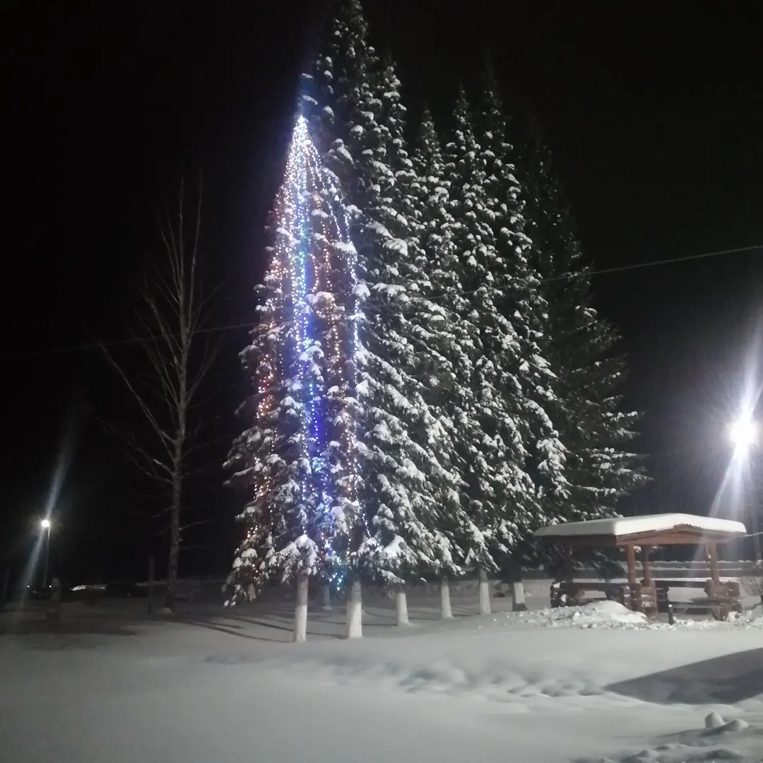 Фото Всей семьёй