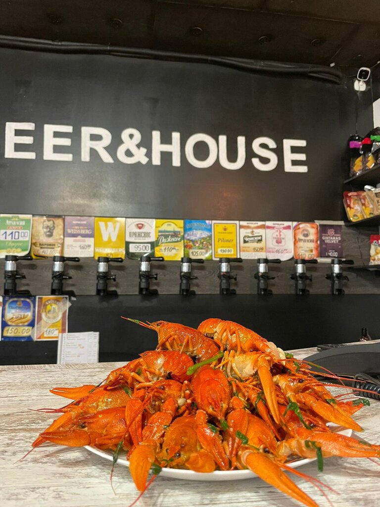 Bar, pub Beer & House, Shelkovo, photo