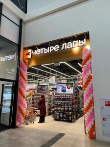 Олар видеода бір-біріне сисады