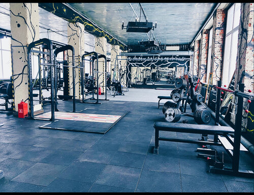 Muscle Gym 31