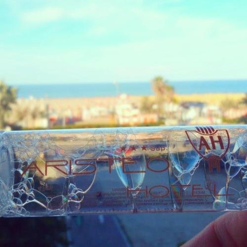 Фото Hotel Aristeo