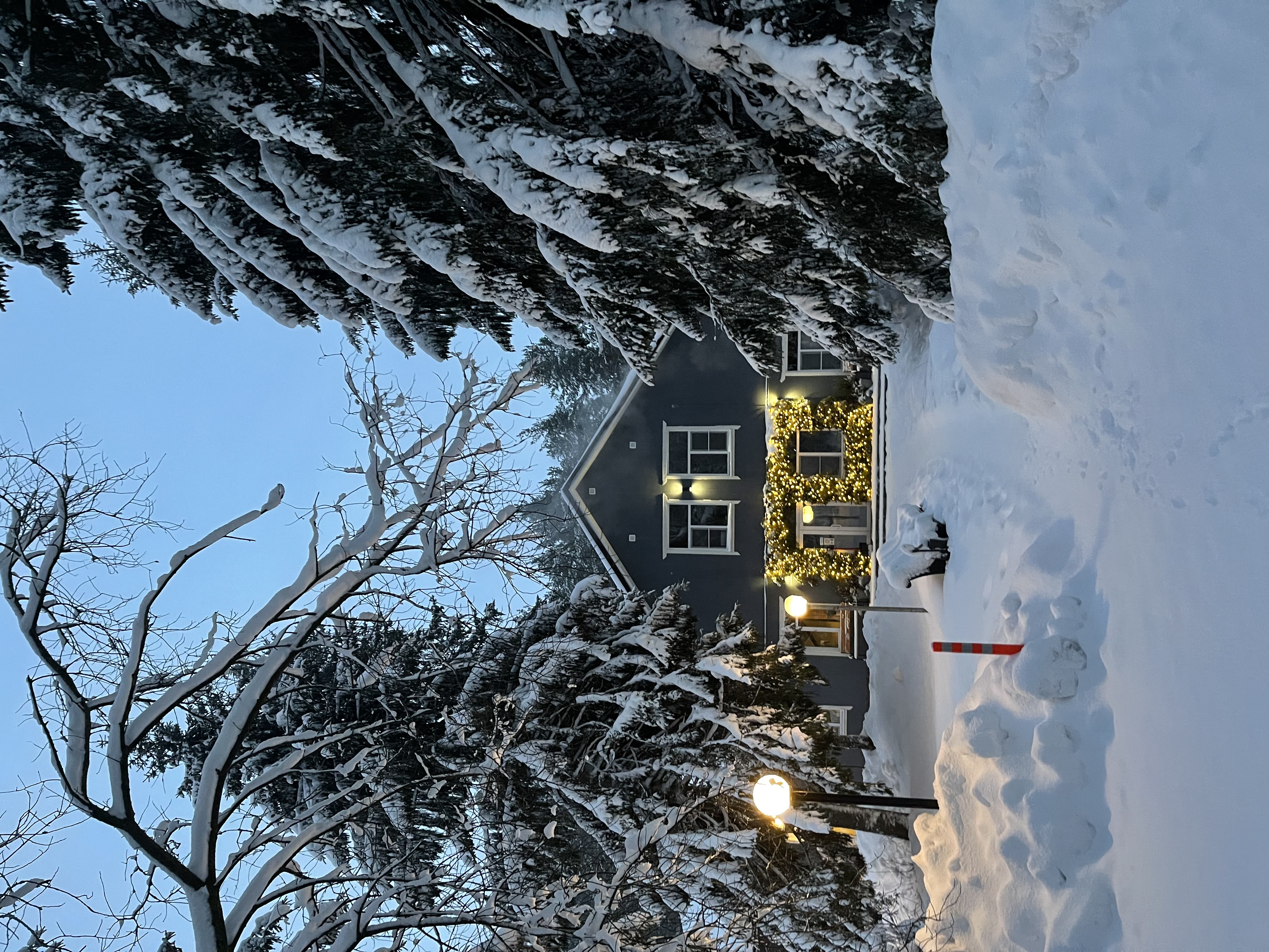 Фото Искатель