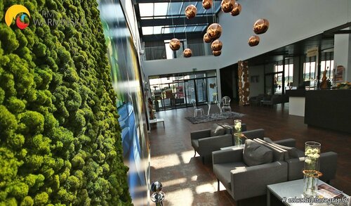 Гостиница Termy Warminskie в Лидзбарк-Варминьски