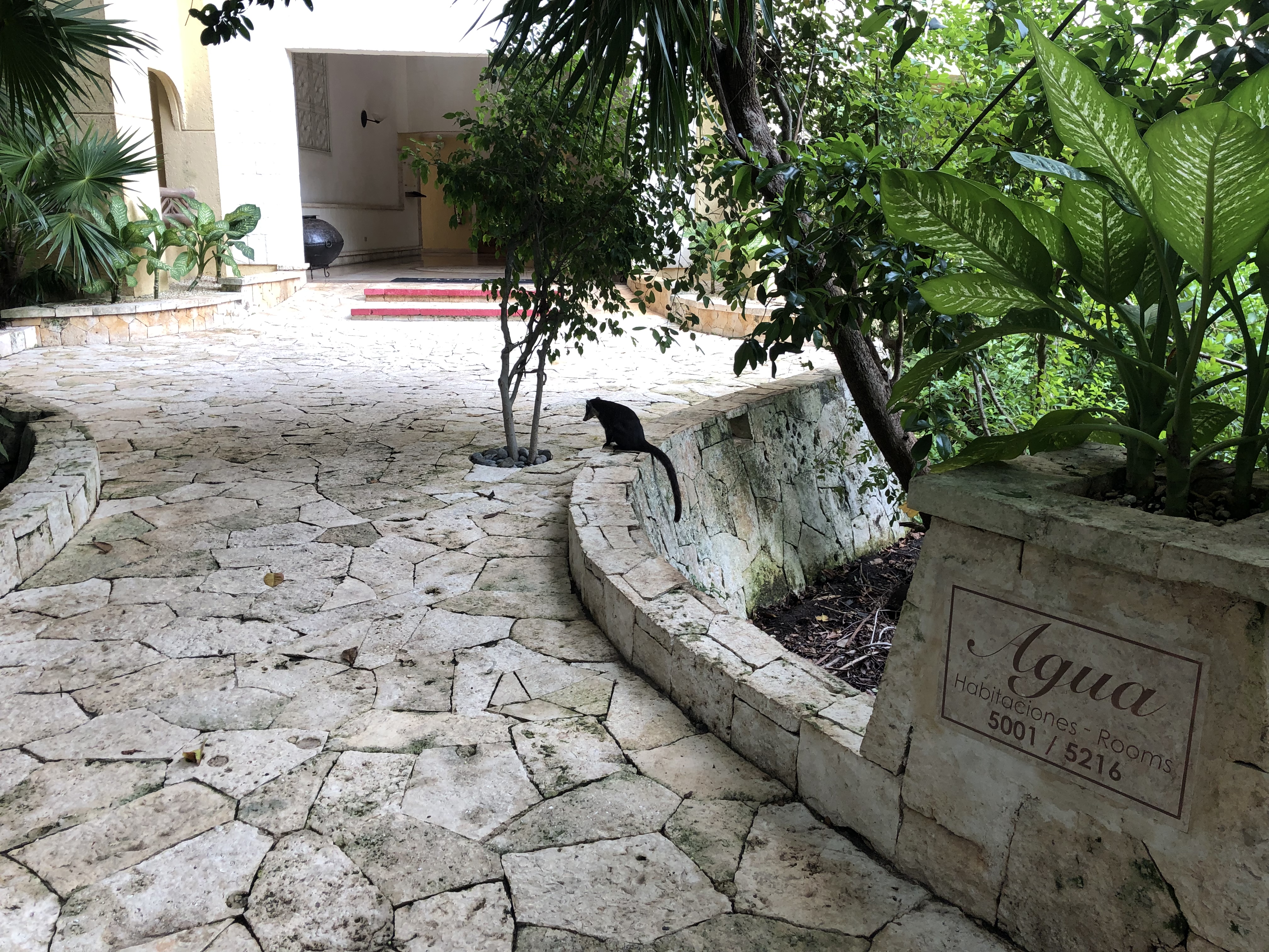 Фото Catalonia Royal Tulum - Adults Only All Inclusive