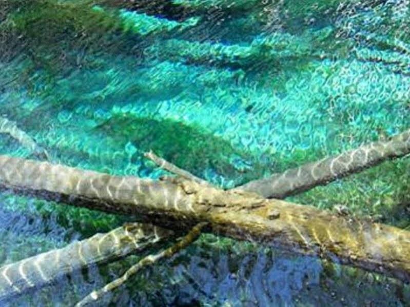 Фото Kiyosato Ihatov Hostel