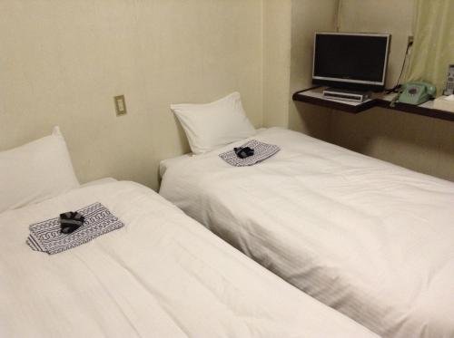 Фото Heiwadai Hotel Otemon