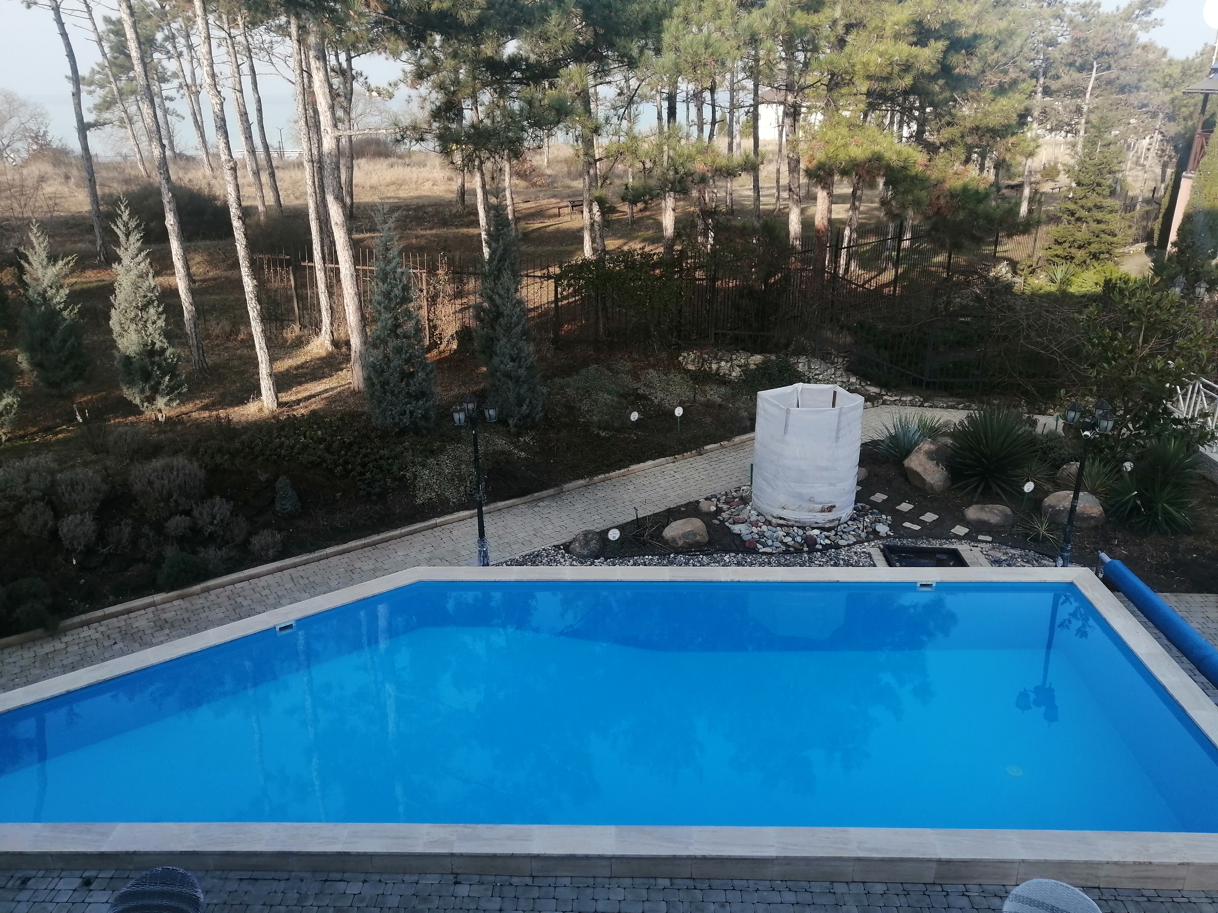 Фото Розмарин