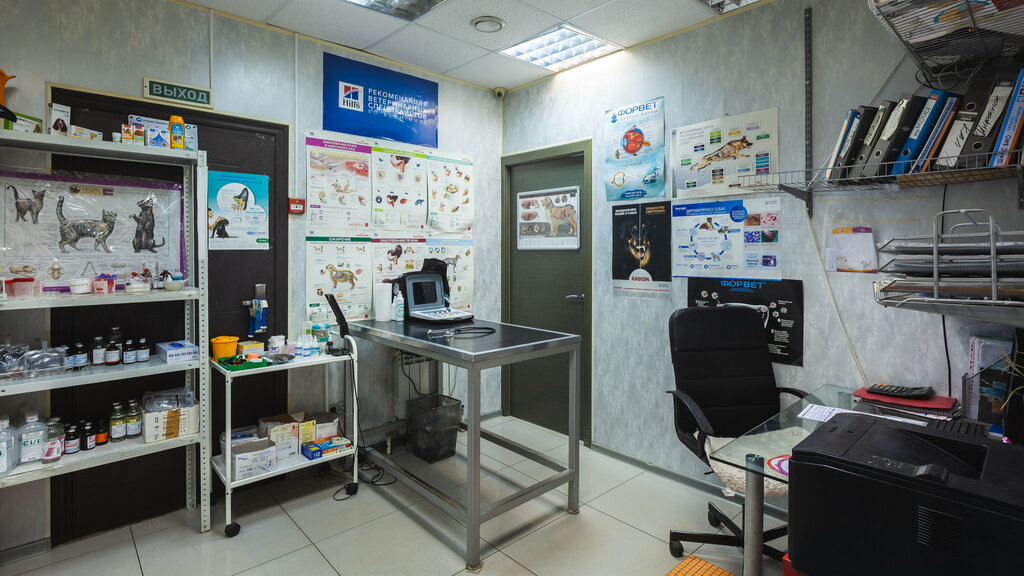 Veterinary clinic Lev i tsaplya, Podolsk, photo