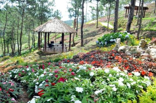 Фото Rung Hoa Hotel