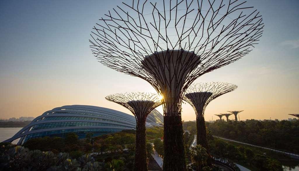 Фото Voco Orchard Singapore