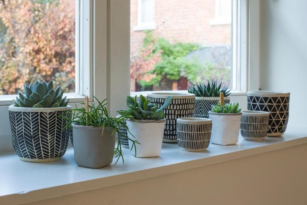 Фото A l'ombre de la Croisette