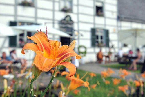 Внешний вид отеля Hotel L' Amandier в Рекони, фото 3