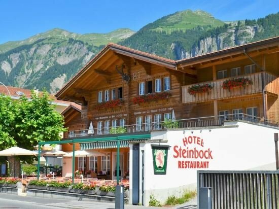 Гостиница Hotel Steinbock