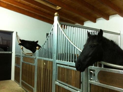 Фото Hotel Alpenhof Das klingende Gasthaus