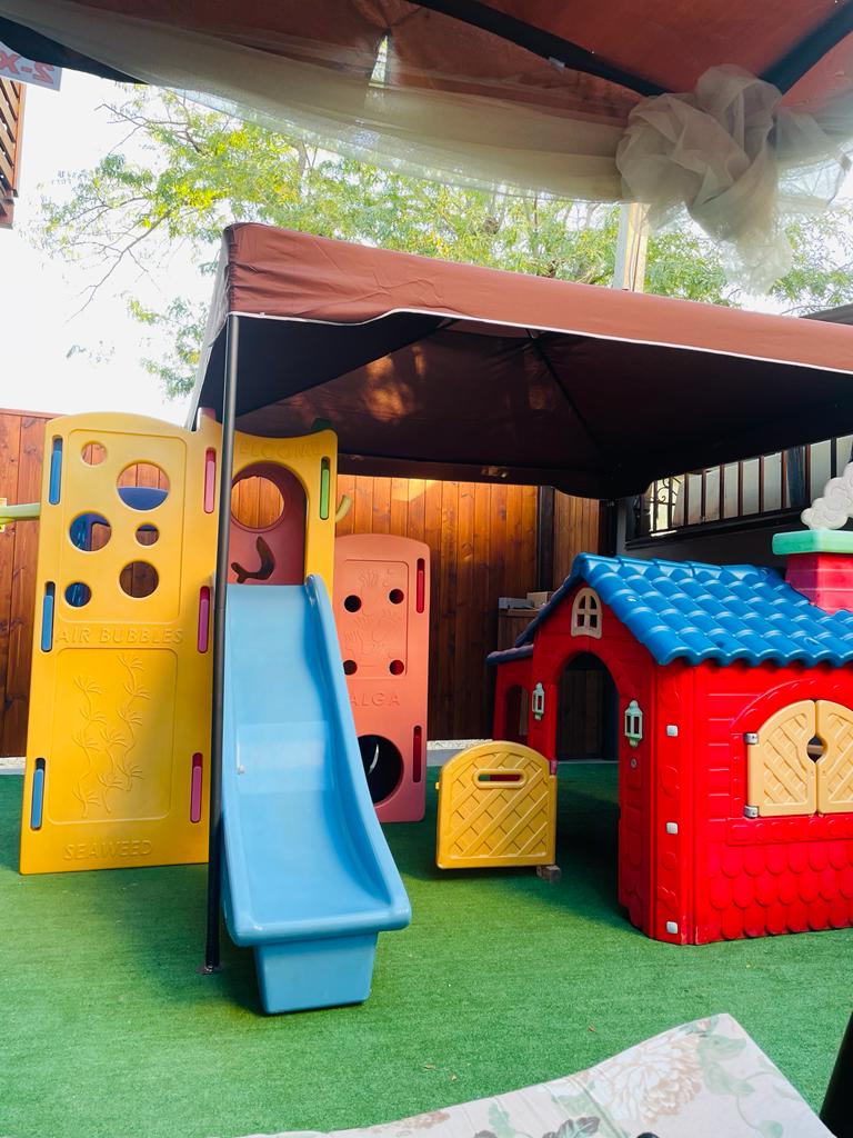 Фото Алая Роза