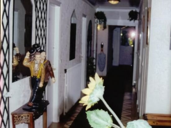 Фото Hotel Belvedere