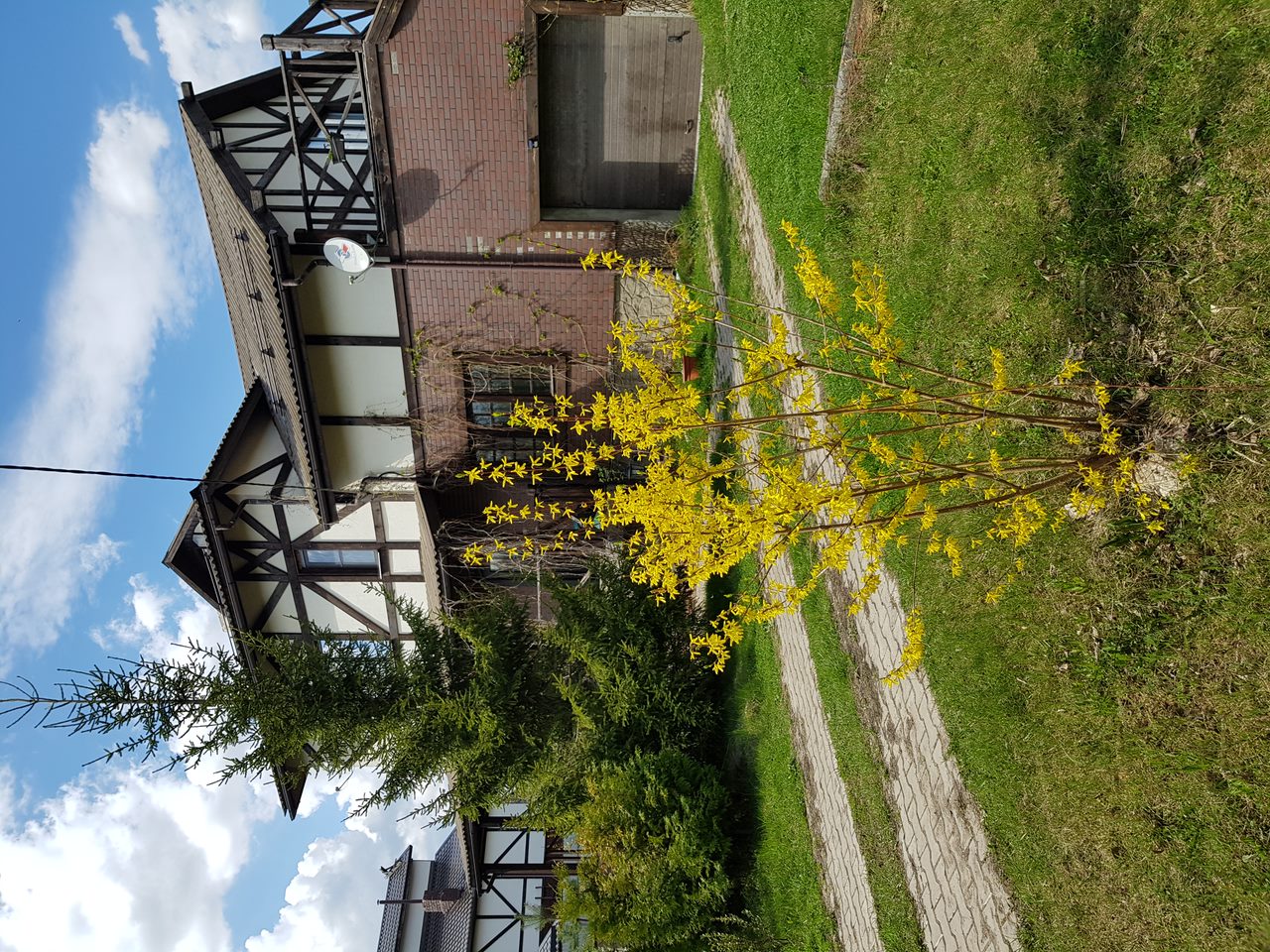 Фото Dream Village