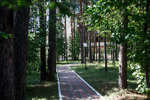 Гостиница Борвиха Hotel&SPA в Бердске