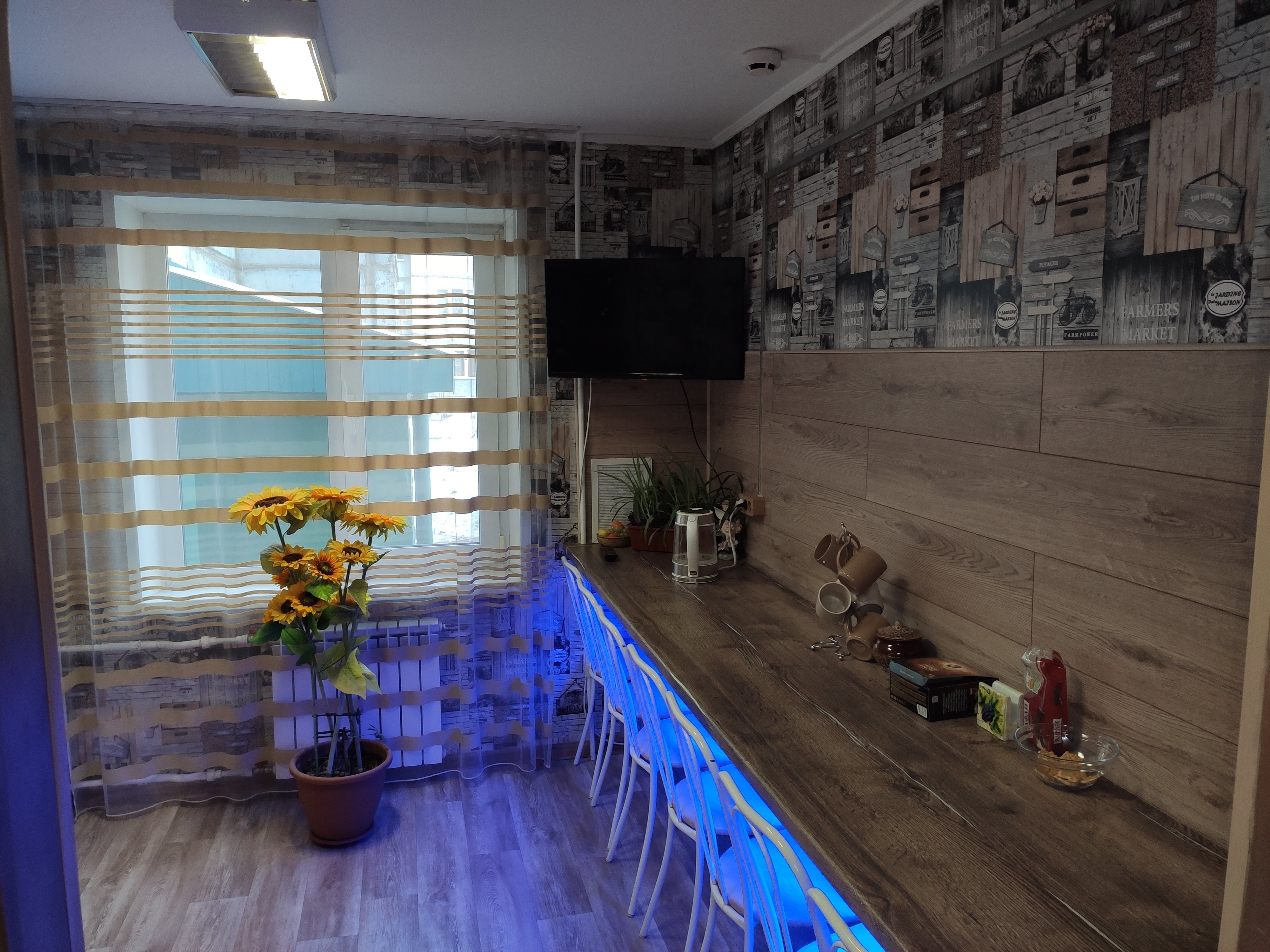 Фото Подсолнух