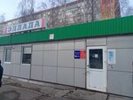Ellada (Shamilya Usmanova Street, 70Б) ، محل بقالة