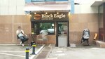 Black Eagle (Kóktem-2 shaǵyn aýdany, 22) ، مقهى