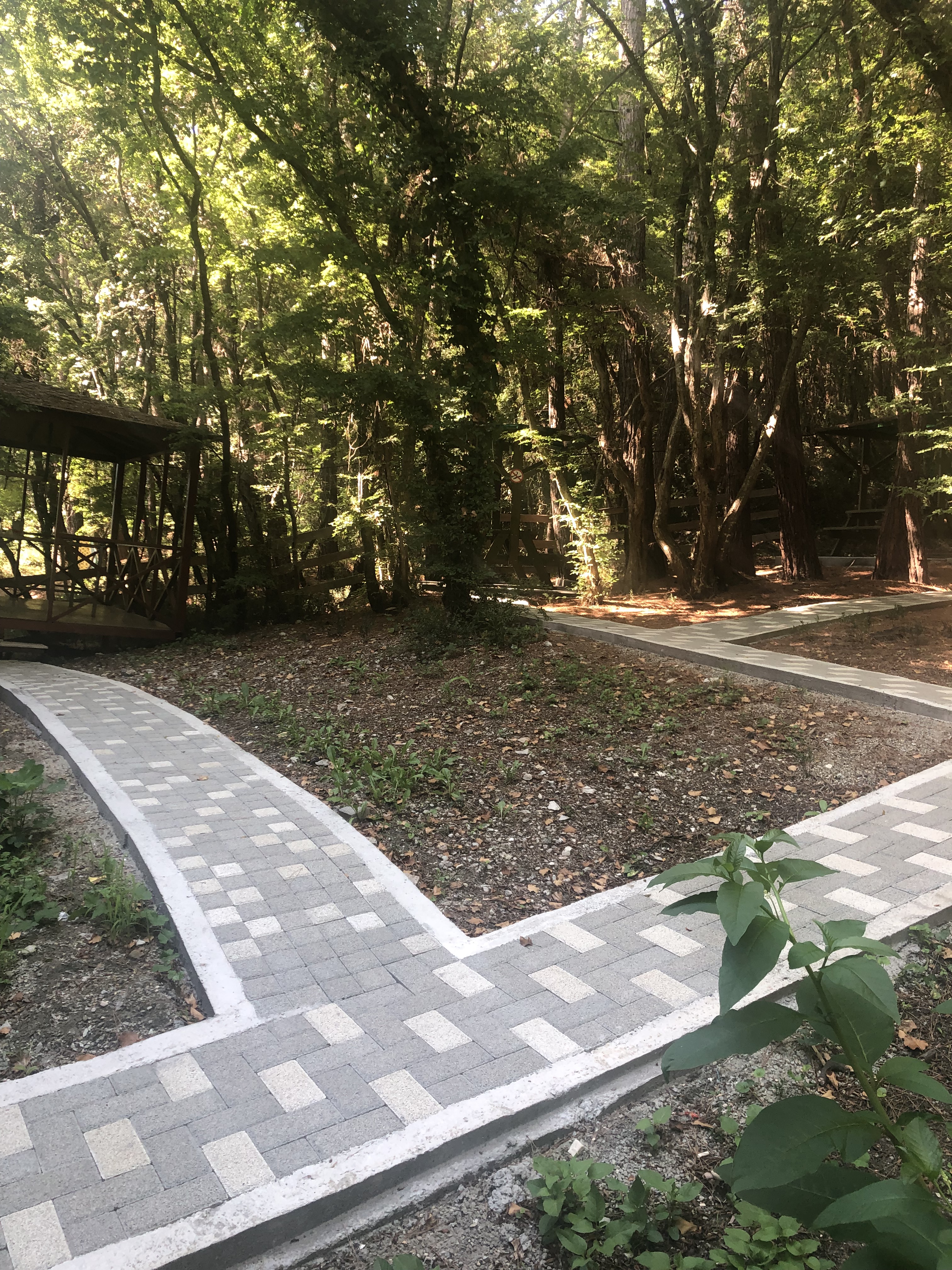 Фото Благое