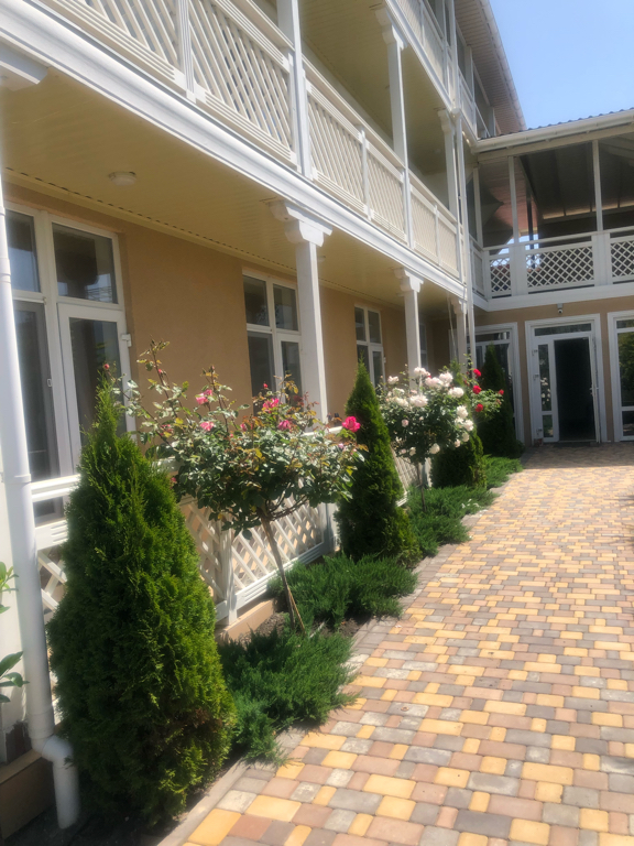 Фото Каштан