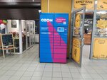 Ozon (Prigorodnaya ulitsa, 13) ، الطرود الآلي