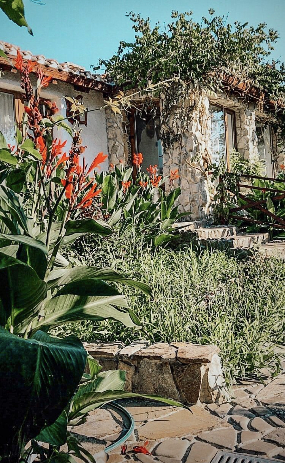 Фото Гостиный дом на Меганоме