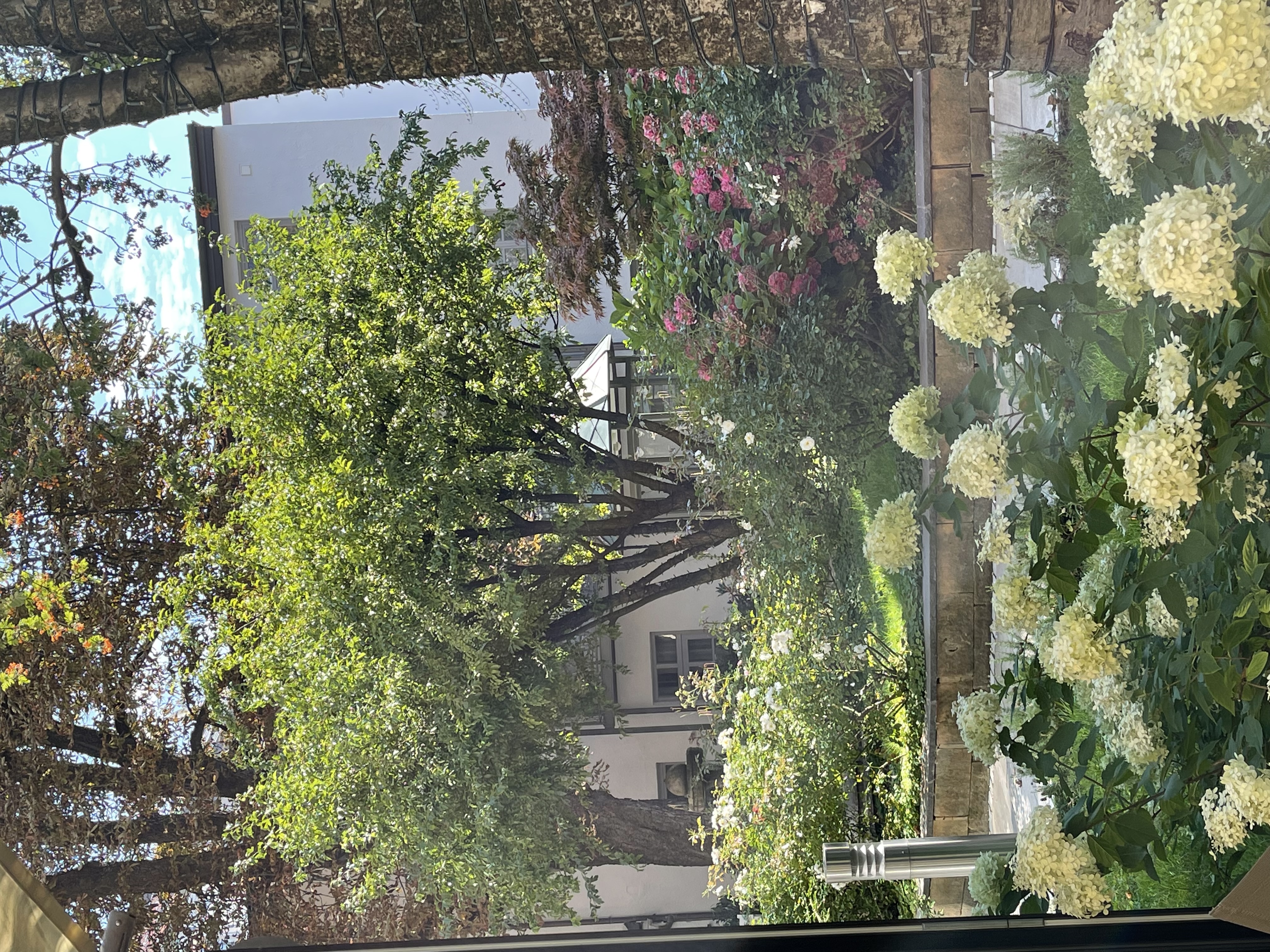 Фото Maximilian Munich