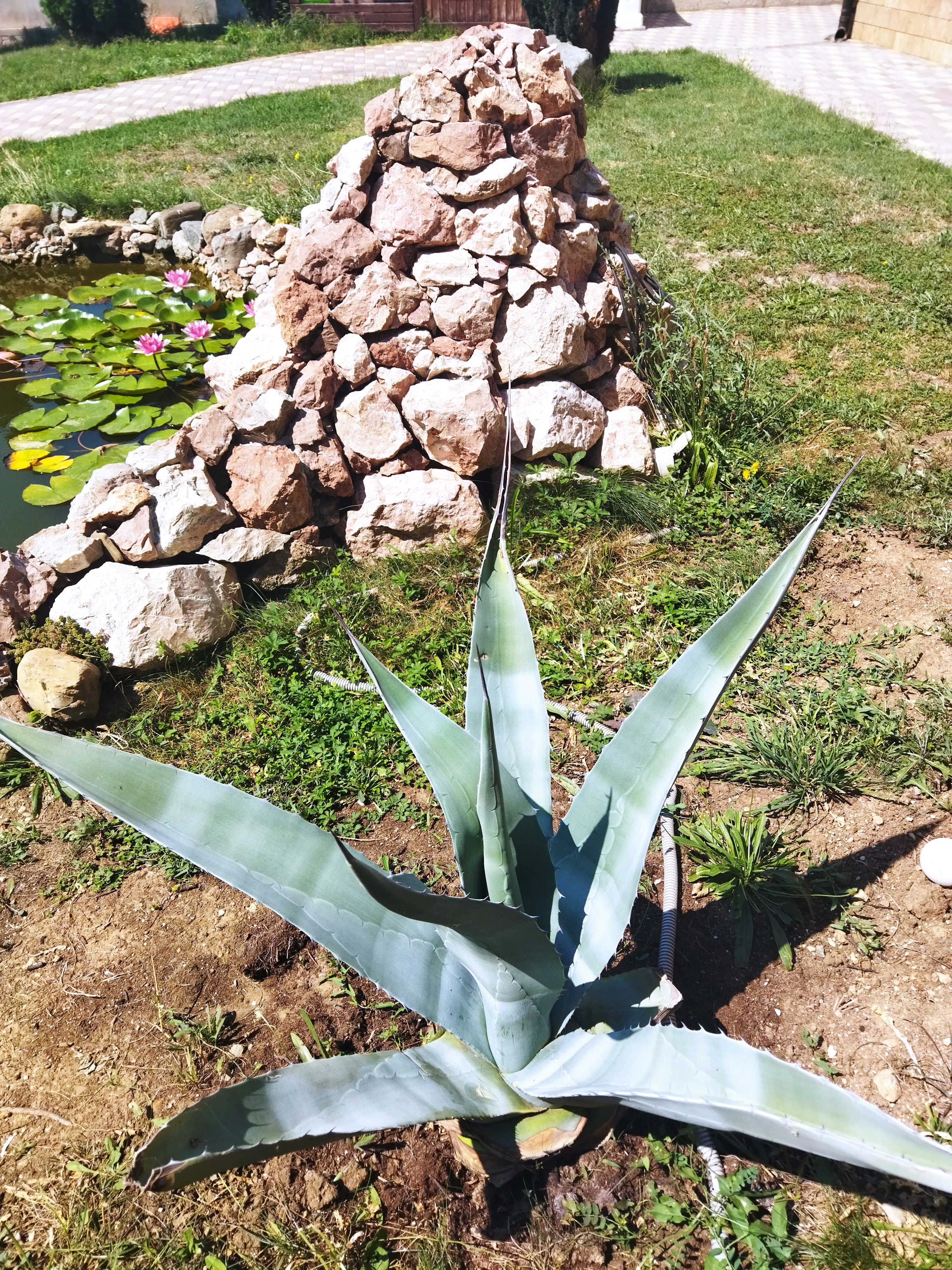 Фото ВиллаФрунзе