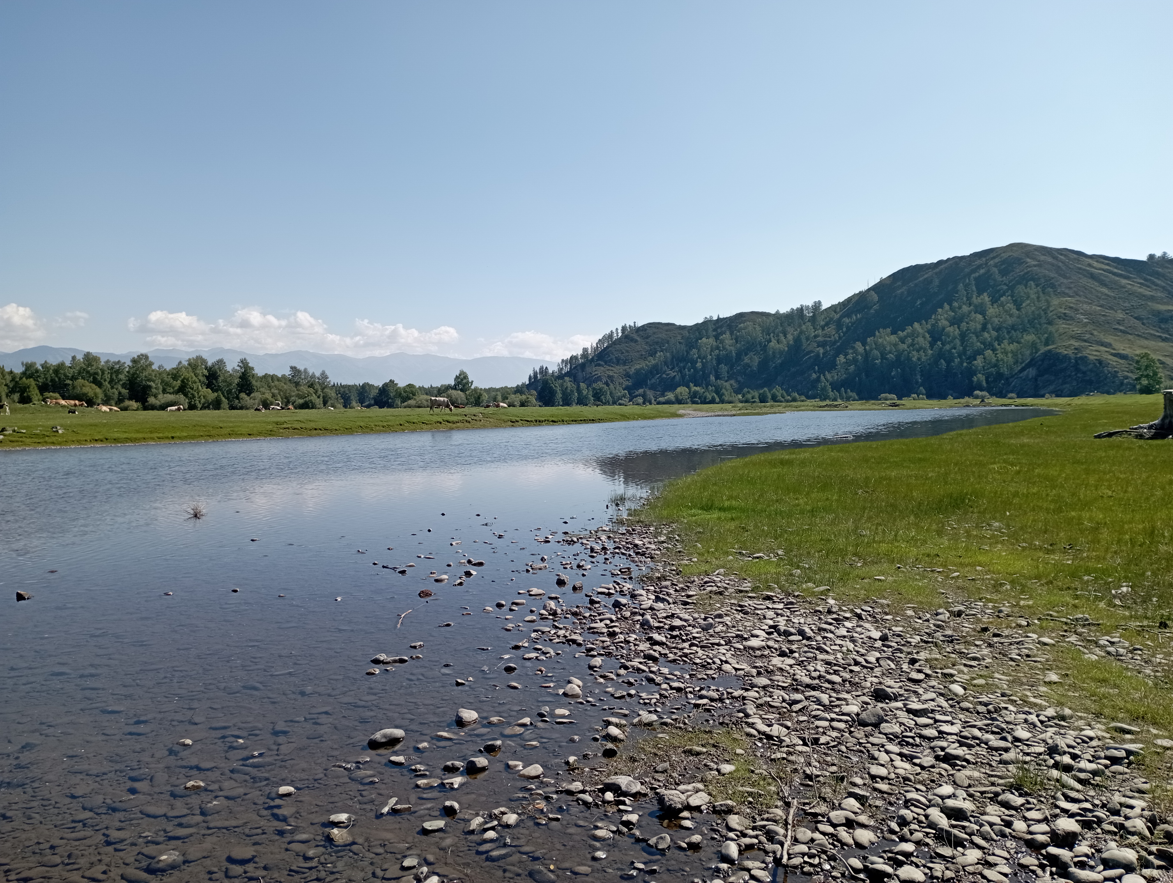 Фото Фазенда