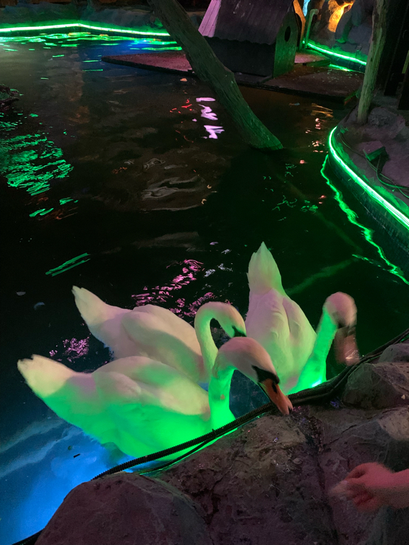 Фото Царский двор