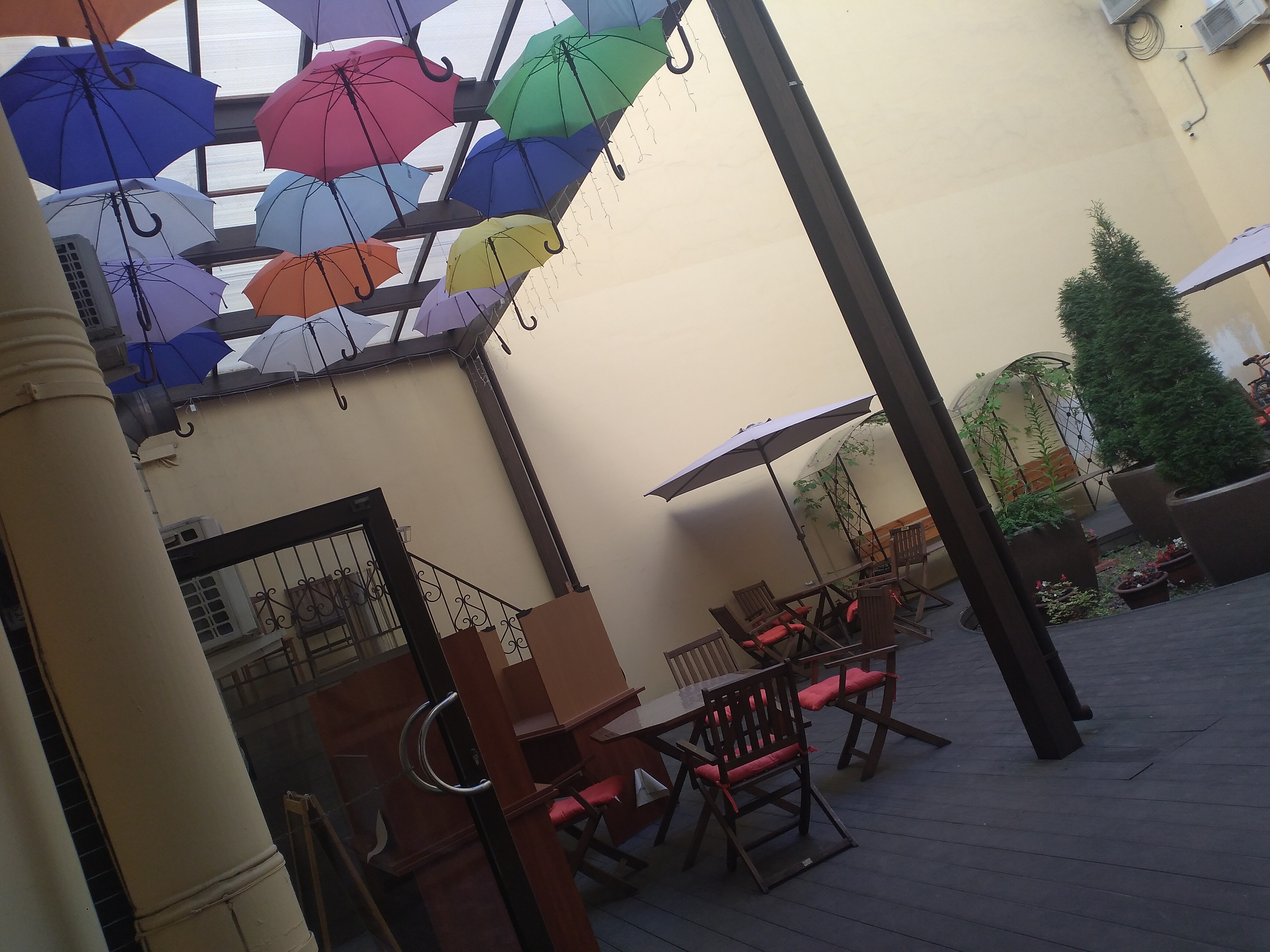 Фото Маэстро