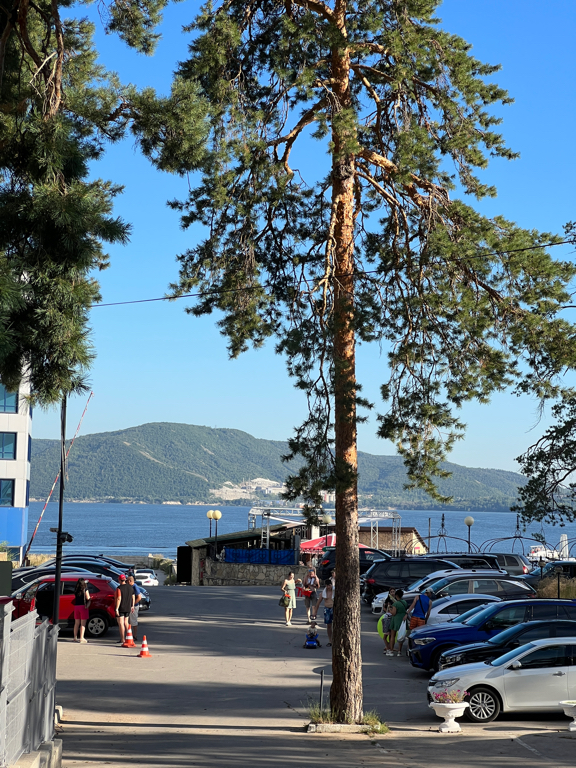 Фото Новая волна