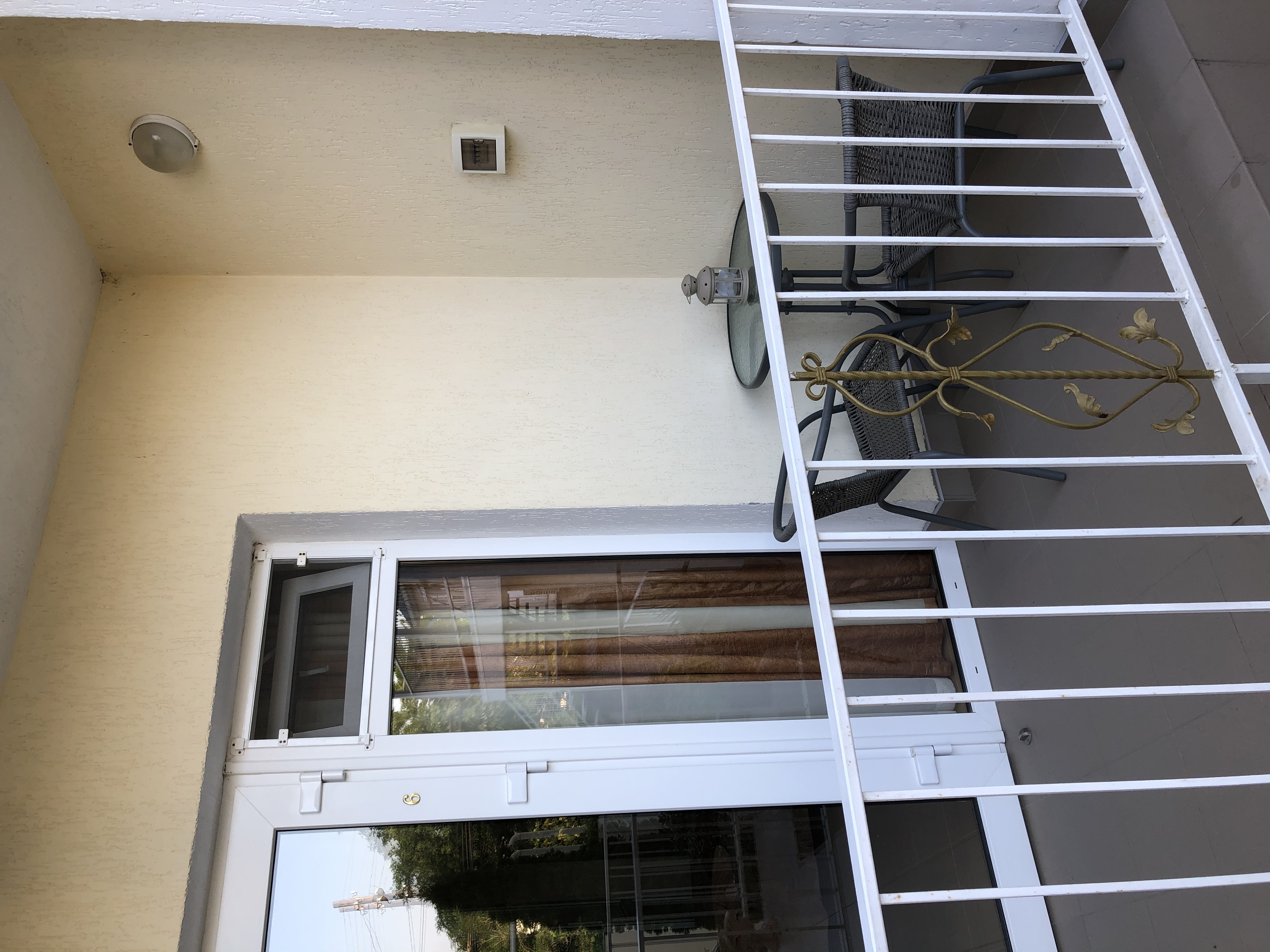 Фото Фламинго