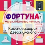 Fortuna (ulitsa Dzerzhinskogo, 7), household appliances store