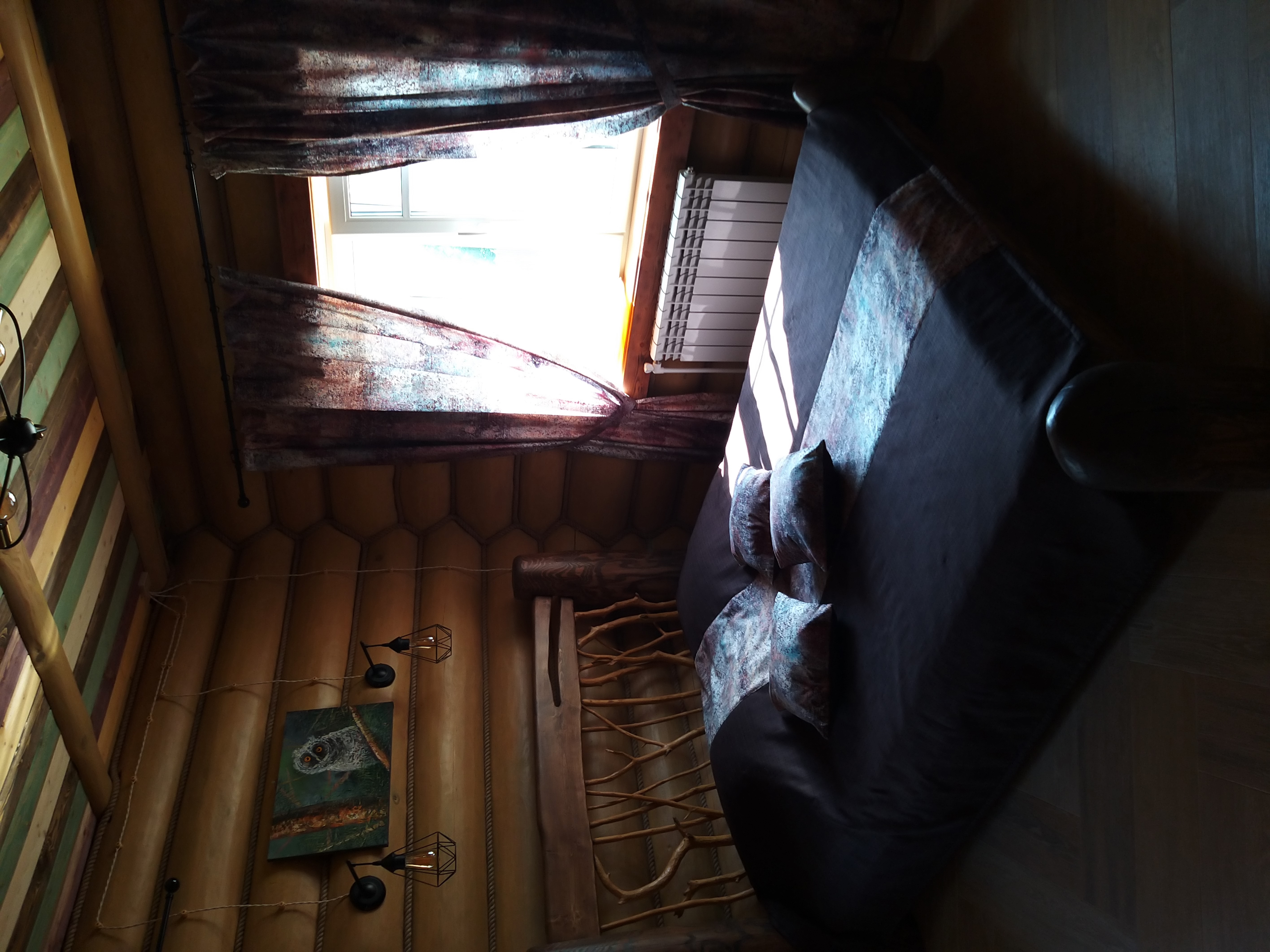 Фото Медоед