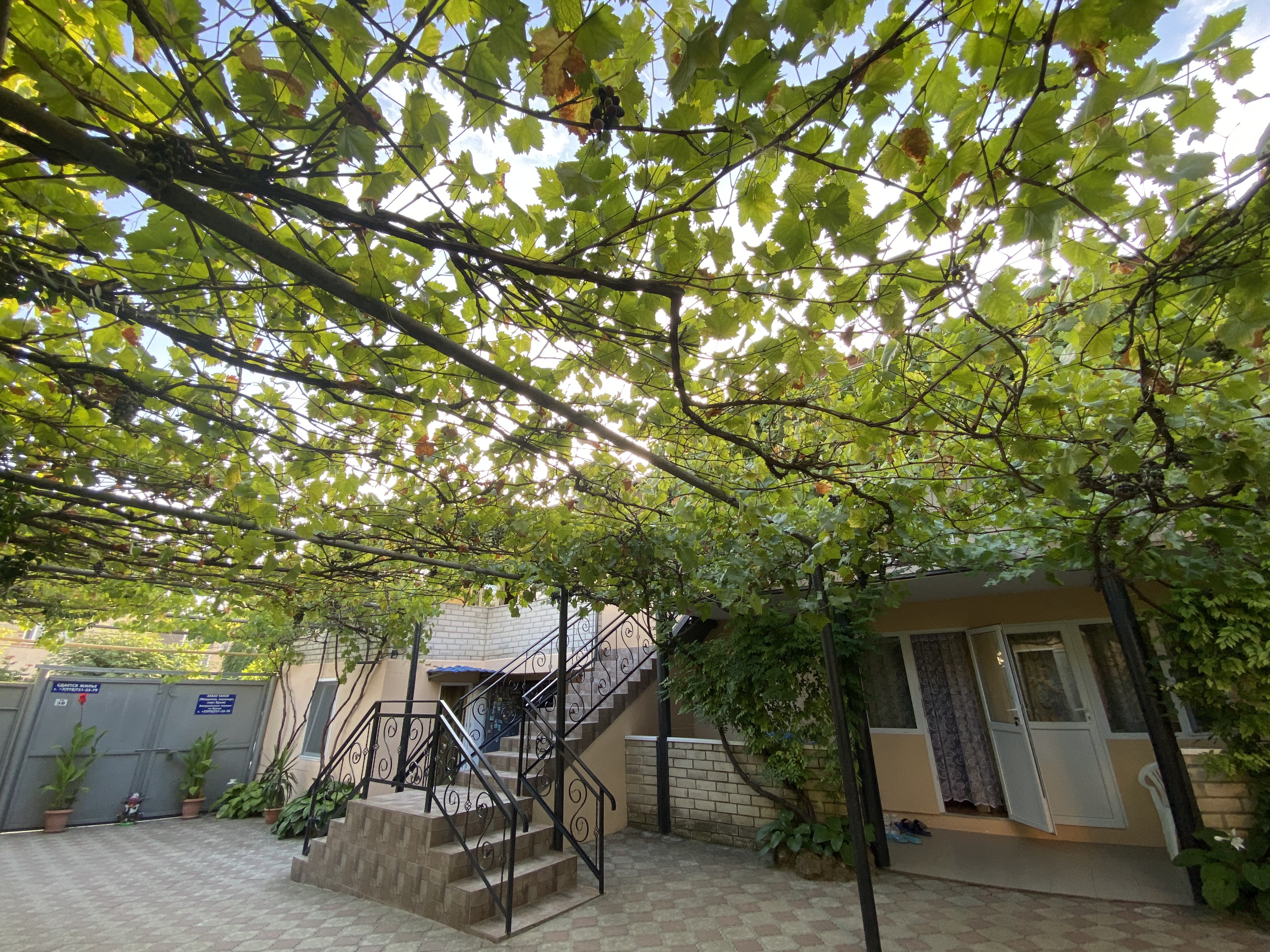 Фото Черноморский Дворик