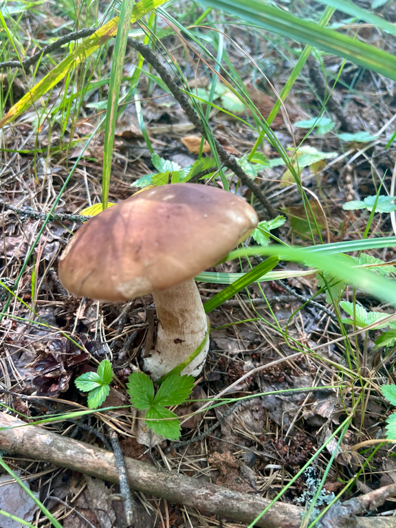 Фото Юркинский мыс