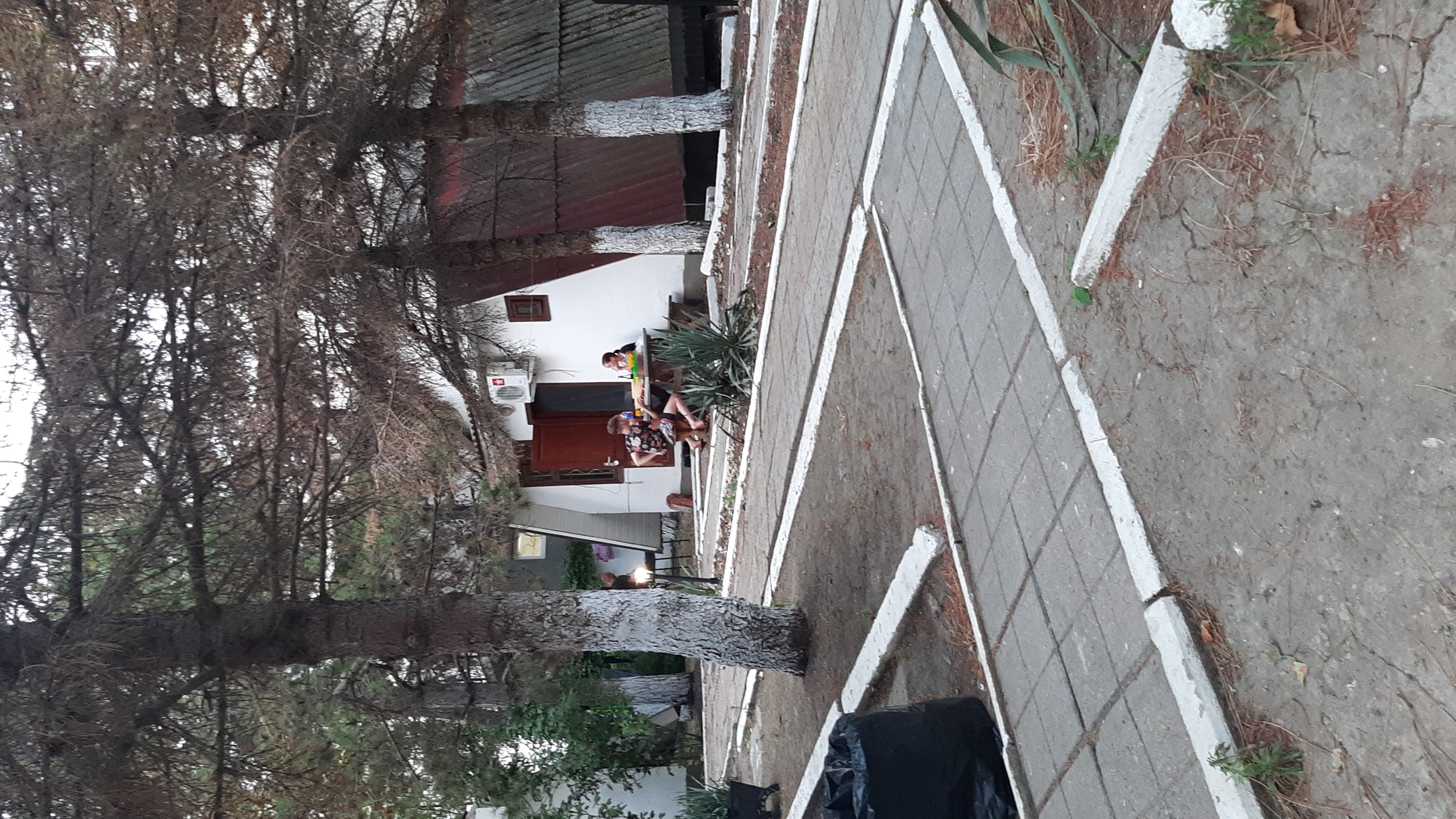 Фото Динамо 2