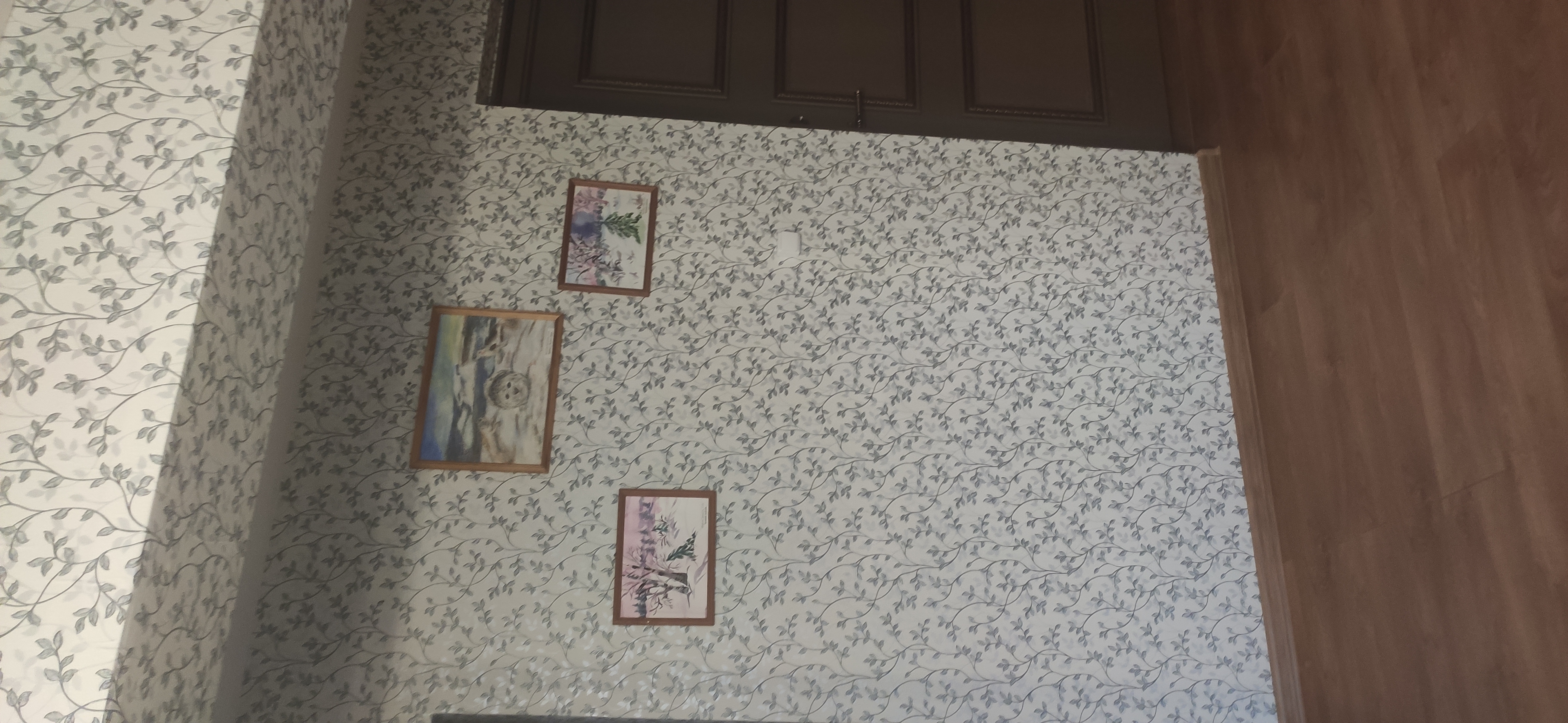 Фото Мезенский берег