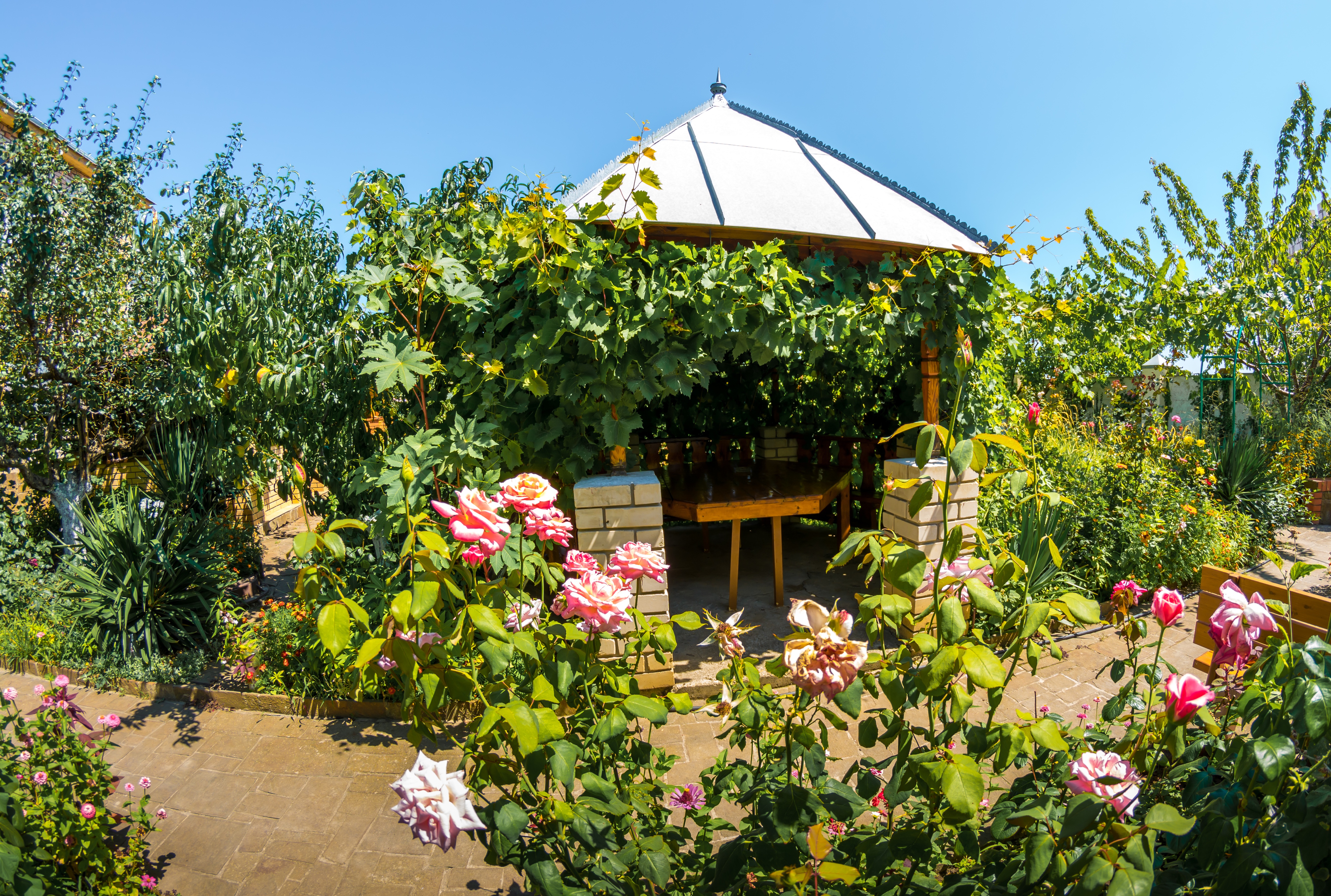 Фото Солнечная Долина