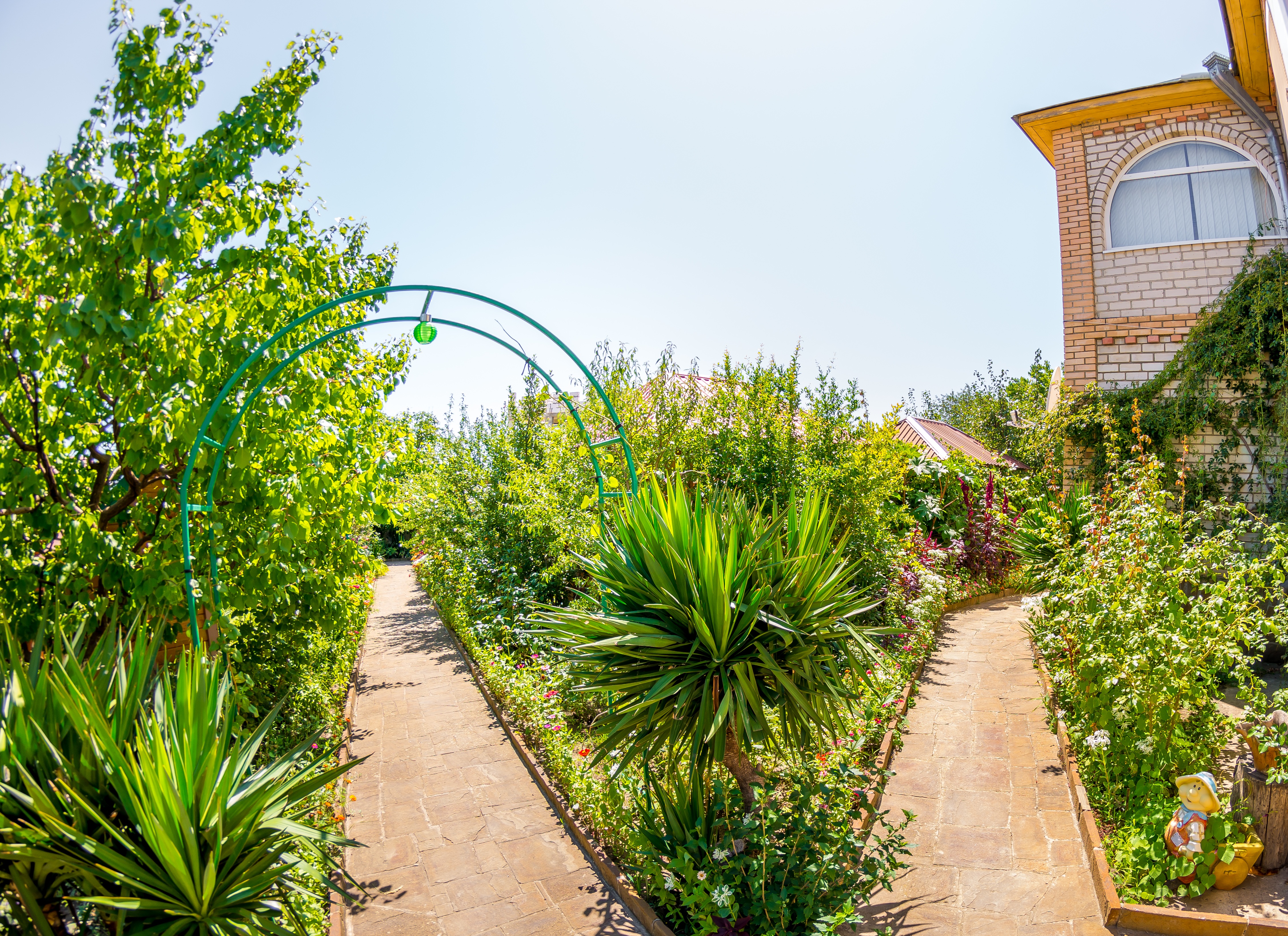 Фото Солнечная Долина