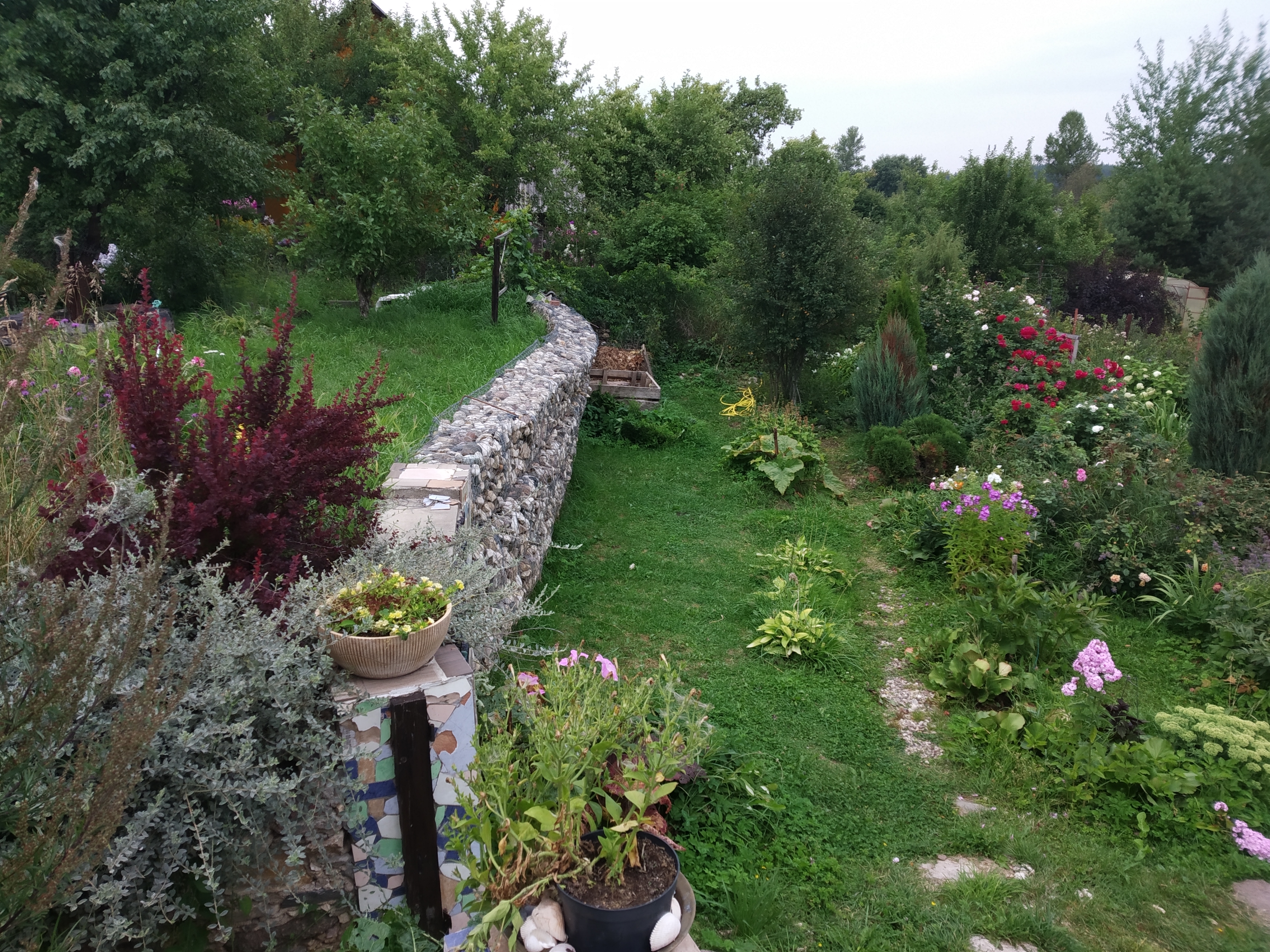 Фото Три Галки