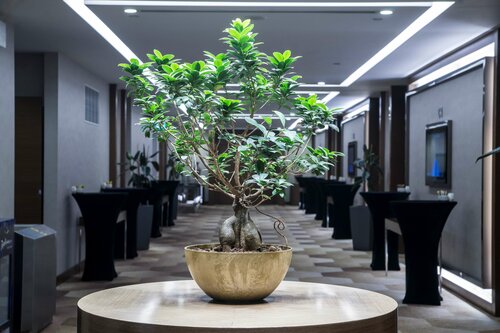 Гостиница Radisson Blu Hotel, Kayseri‬ в Коджасинане