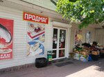 Продмаг (Kislovodsk, ulitsa Martsinkevicha, 94с1), tienda de productos