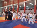 Региональная общественная спортивная патриотическая организация Федерация традиционного каратэ г. Москвы (Polyarnaya Street, 10с1), sports association