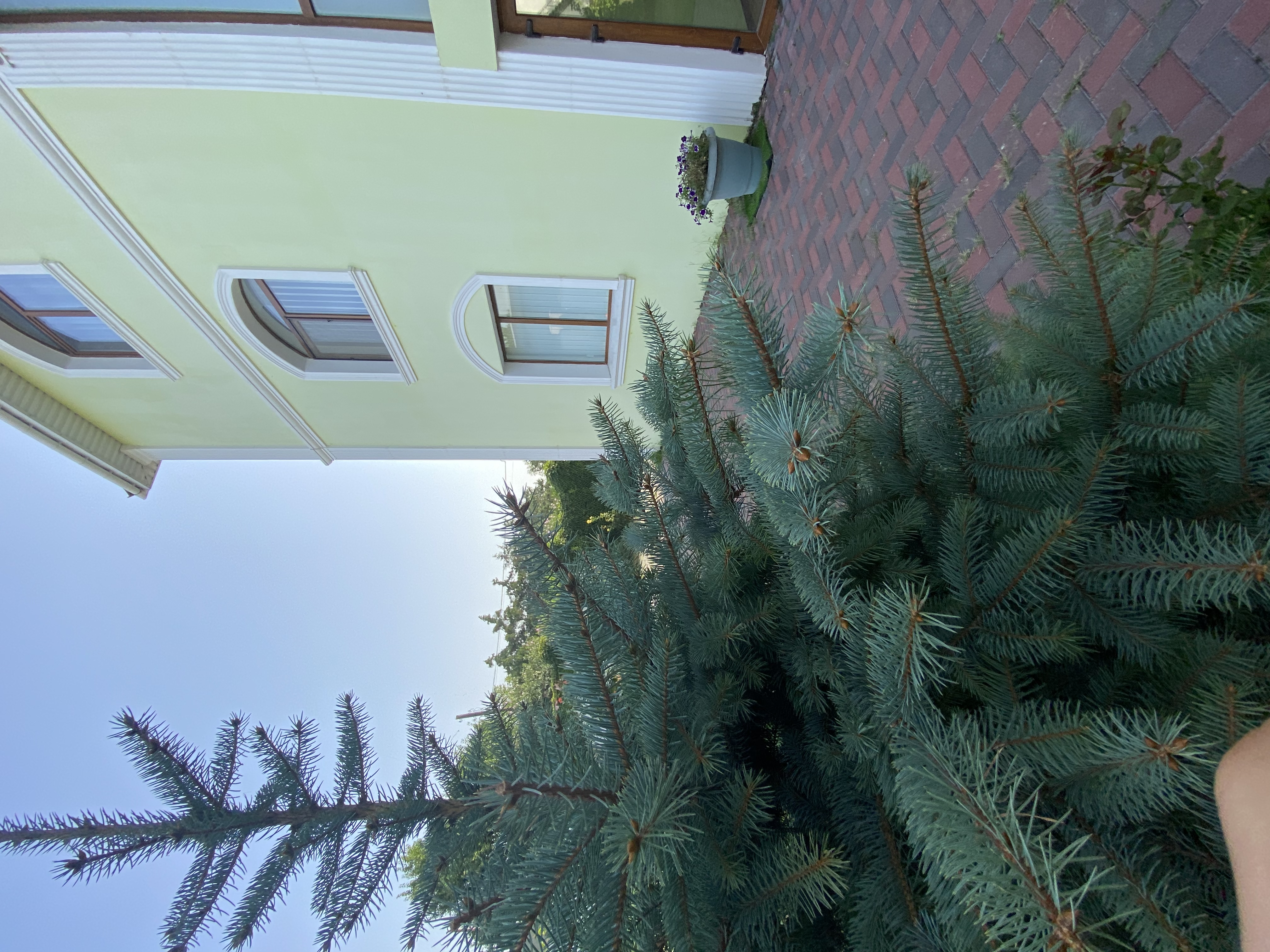 Фото Русская усадьба